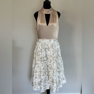 NWT white house black market dress